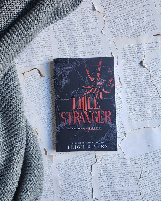 Little Stranger: A Dark Taboo Romance (The Web of Silence Duet Book 1) - Leigh Rivers